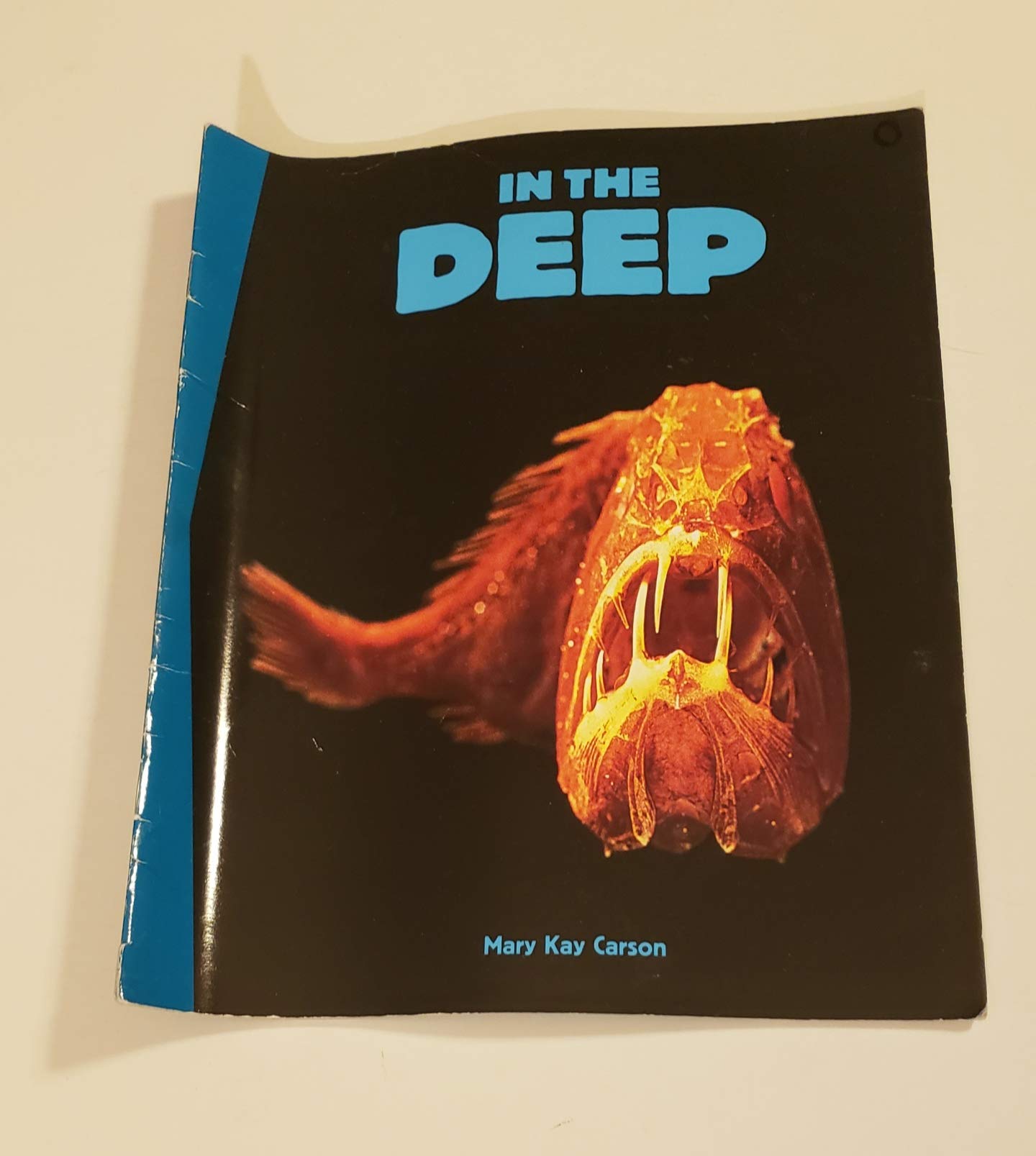 In the Deep (Newbridge Discovery Links)