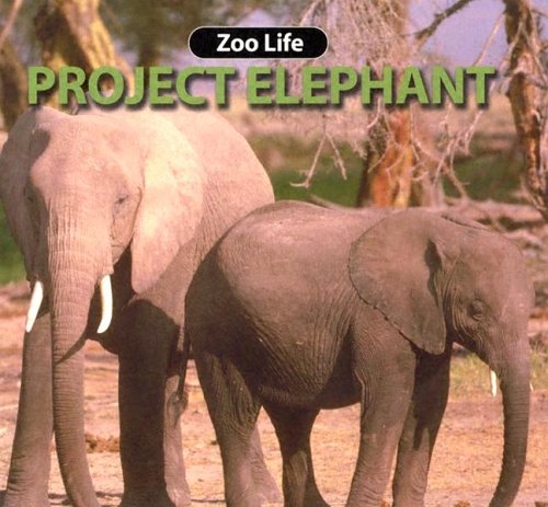 Project Elephant (Zoo Life)