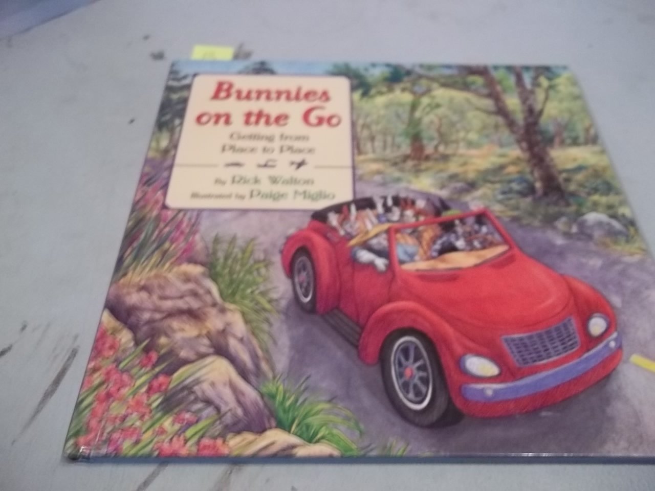 Bunnies on the Go: Getting from Place to Place