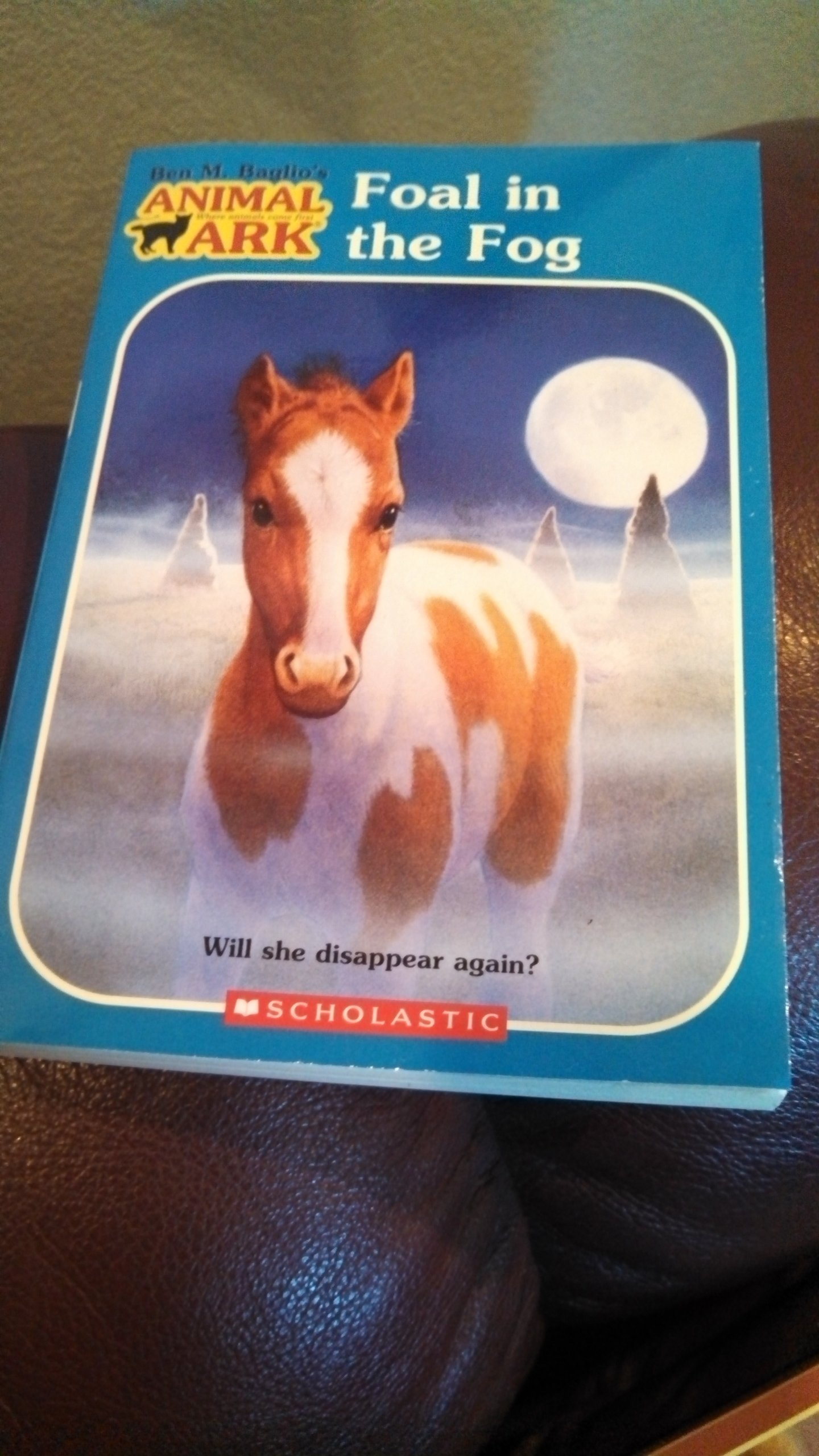 Foal in the Fog (Animal Ark Hauntings #5)
