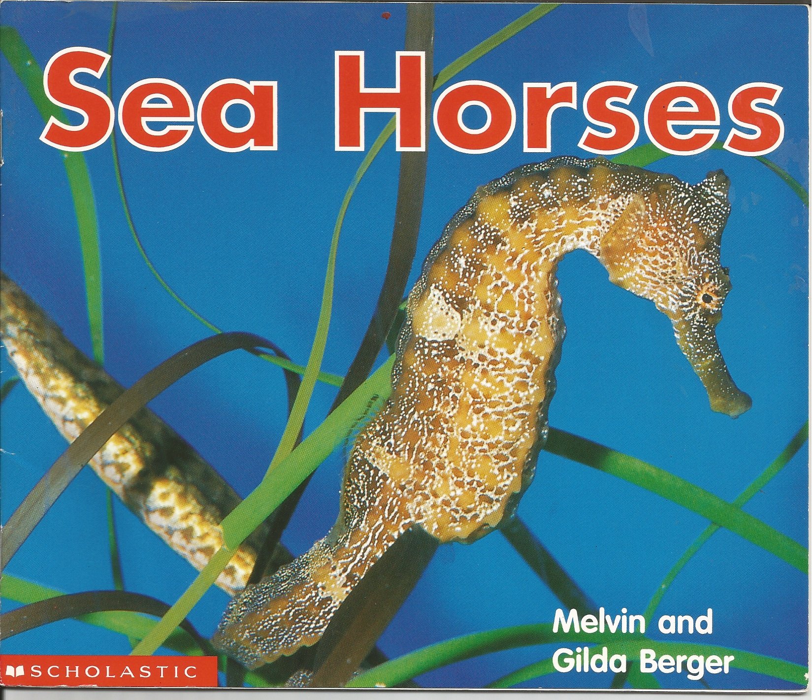 Sea horses (Scholastic time-to-discover readers)