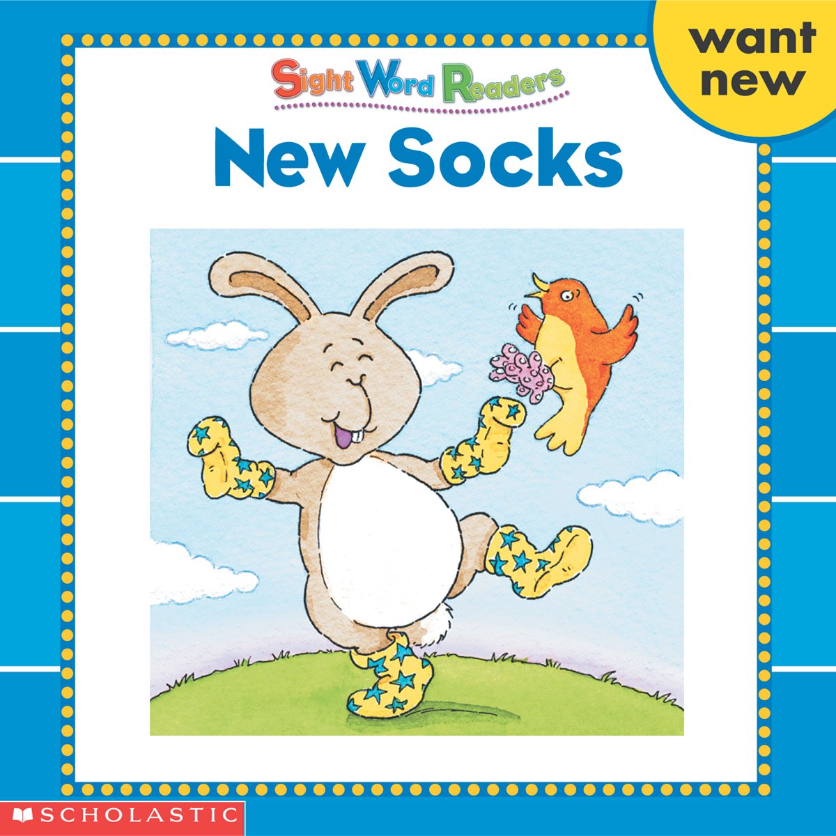 Sight Word Library / NEW SOCKS