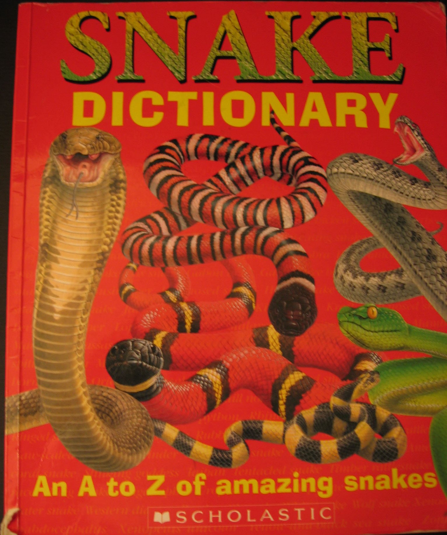 Snake Dictionary: An A to Z of Amazing Snakes