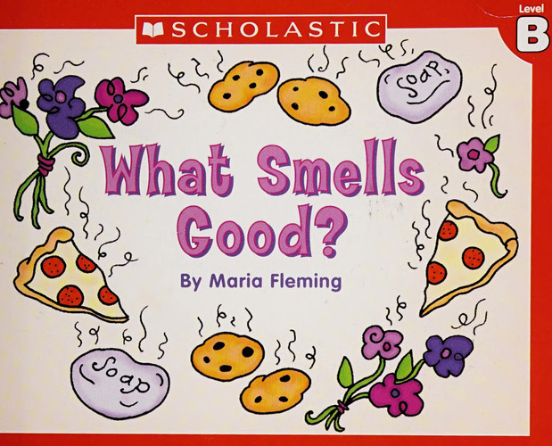 Little Leveled Readers Level B