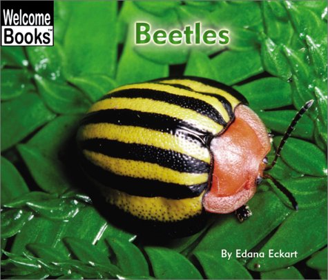 Beetles (Welcome Books)