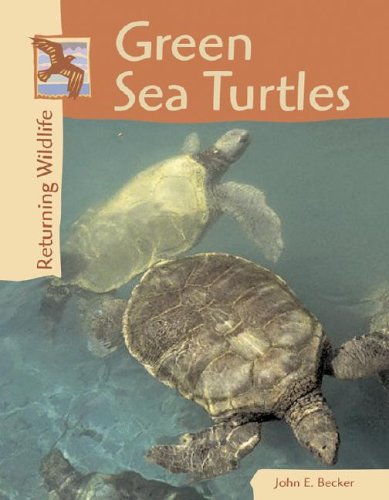 Returning Wildlife - Green Sea Turtles