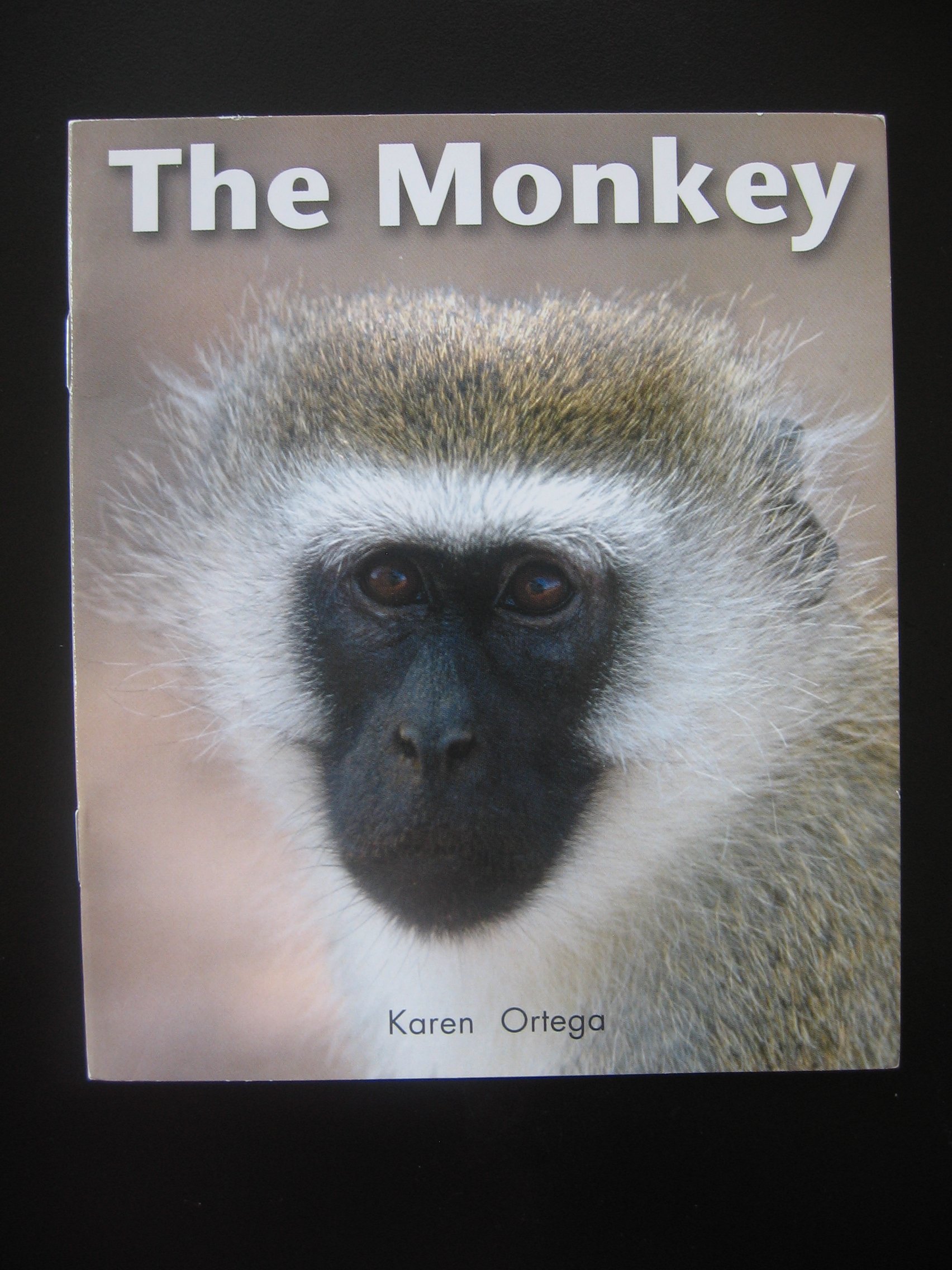 The Monkey (On Our Way English)