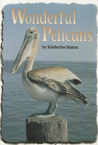 COMPREHENSION POWER READERS WONDERFUL PELICANS GRADE 2 SINGLE 2004C