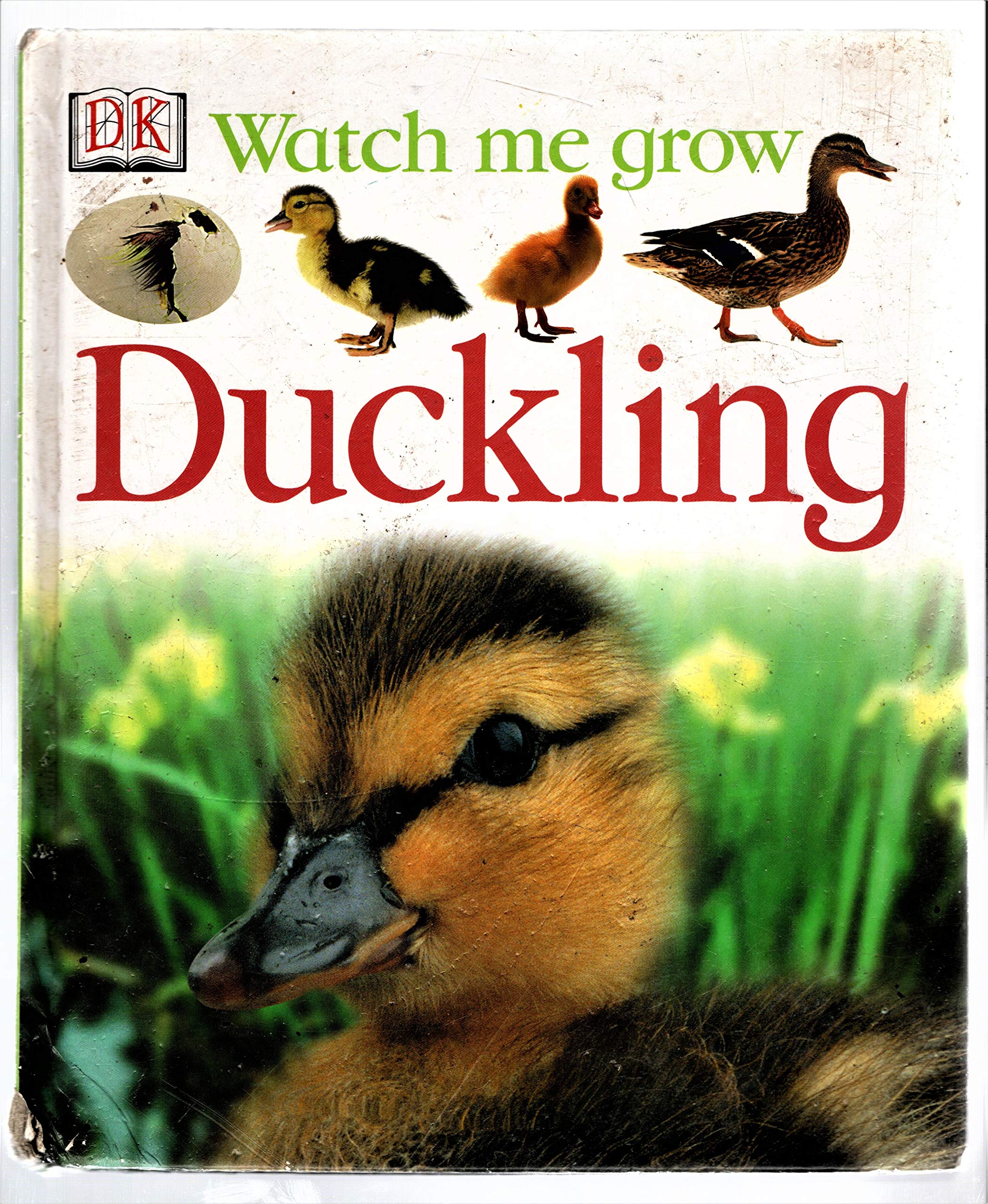 Duckling (Watch Me Grow)