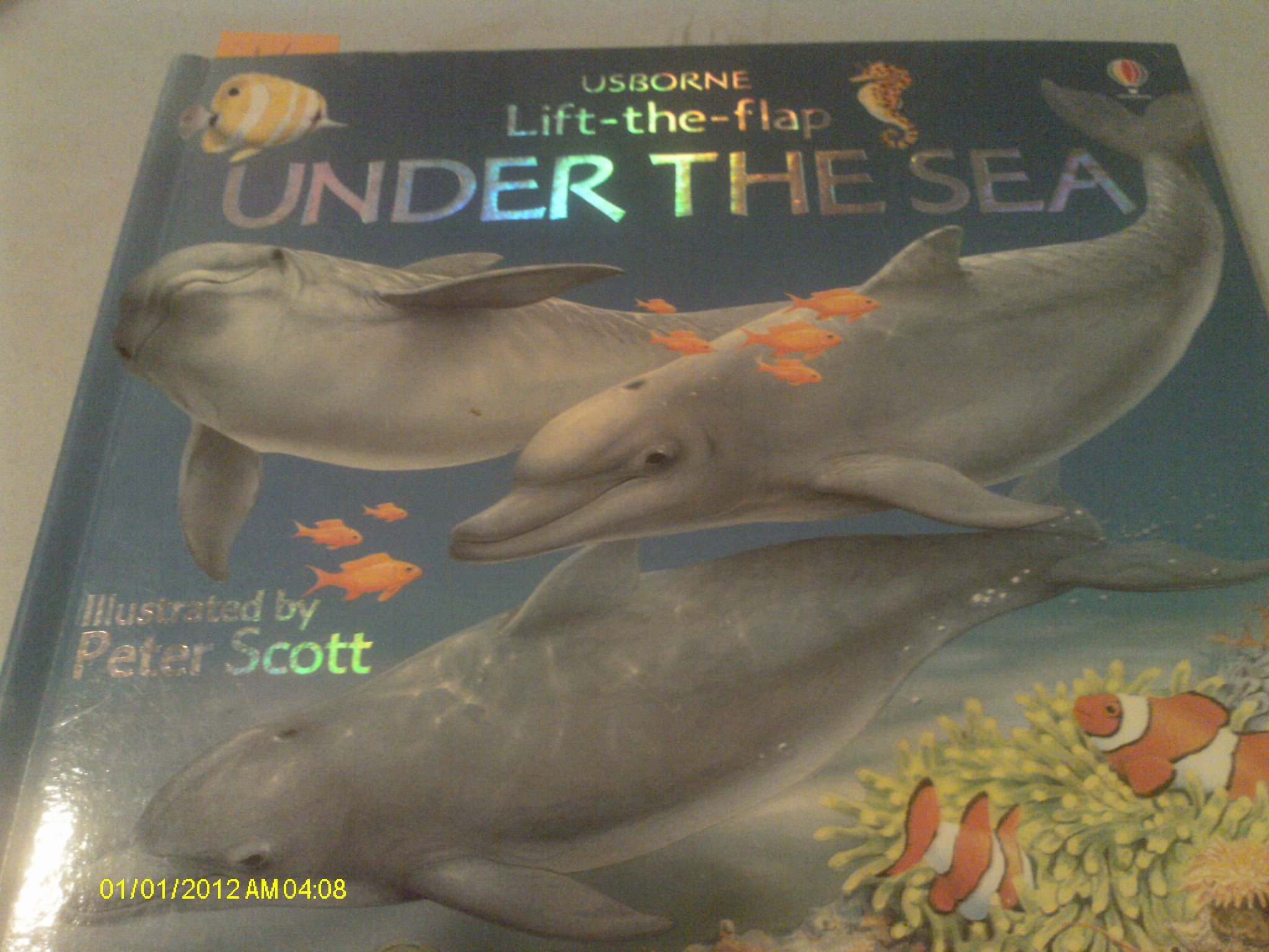 Under the Sea (Usborne Lift-The-Flap)