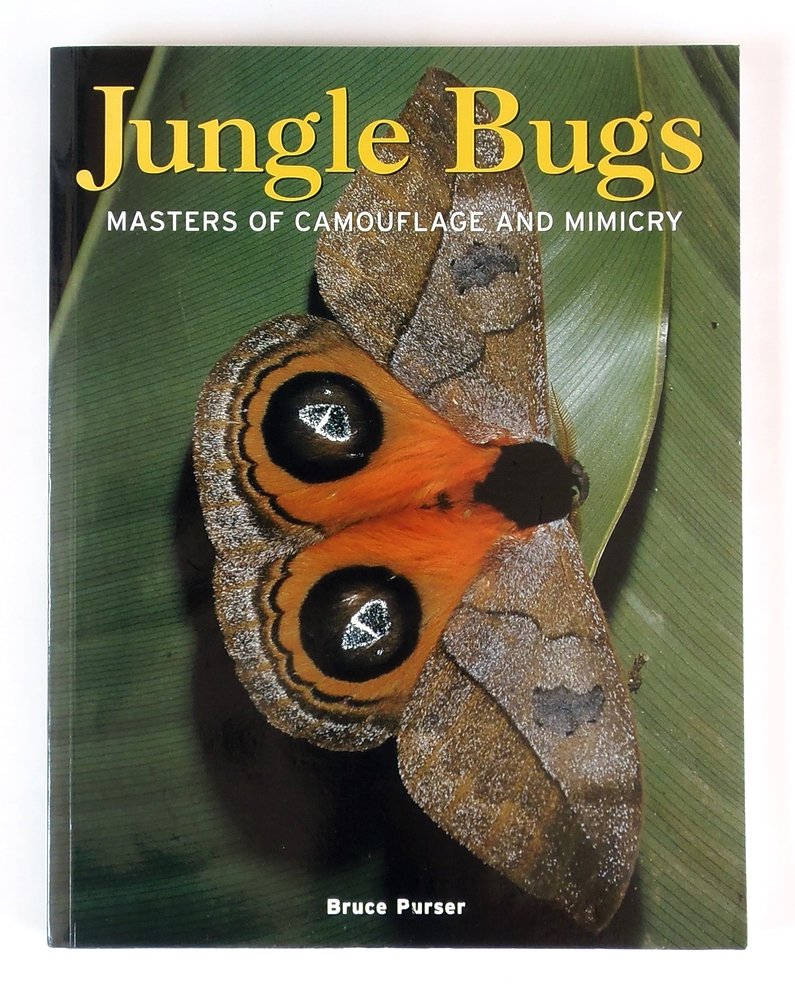 Jungle Bugs: Masters of Camouflage and Mimicry