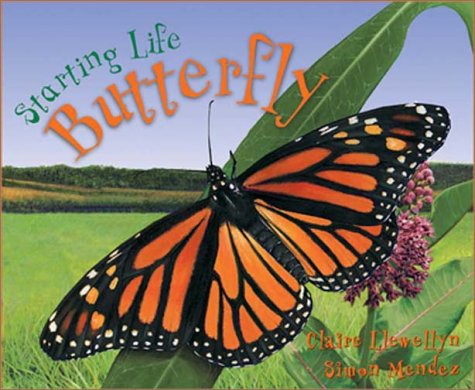 Starting Life: Butterflies
