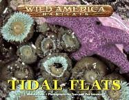 Wild America Habitats - Tidal Flats