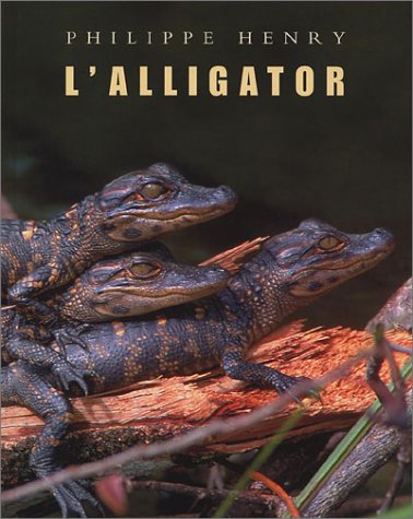 l'alligator