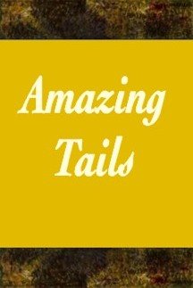 Amazing Tails