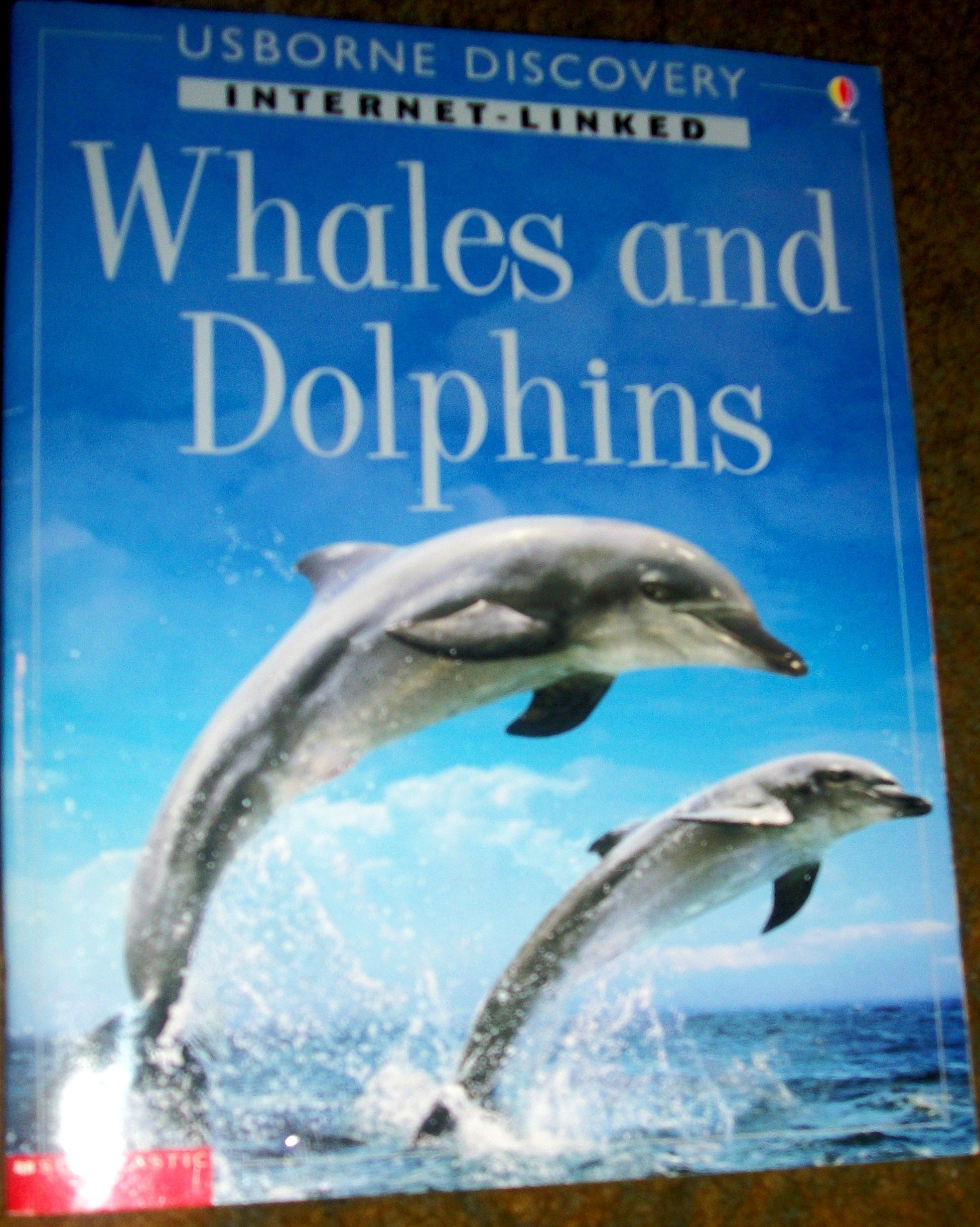 Whales and Dolphins (Usborne Discovery)