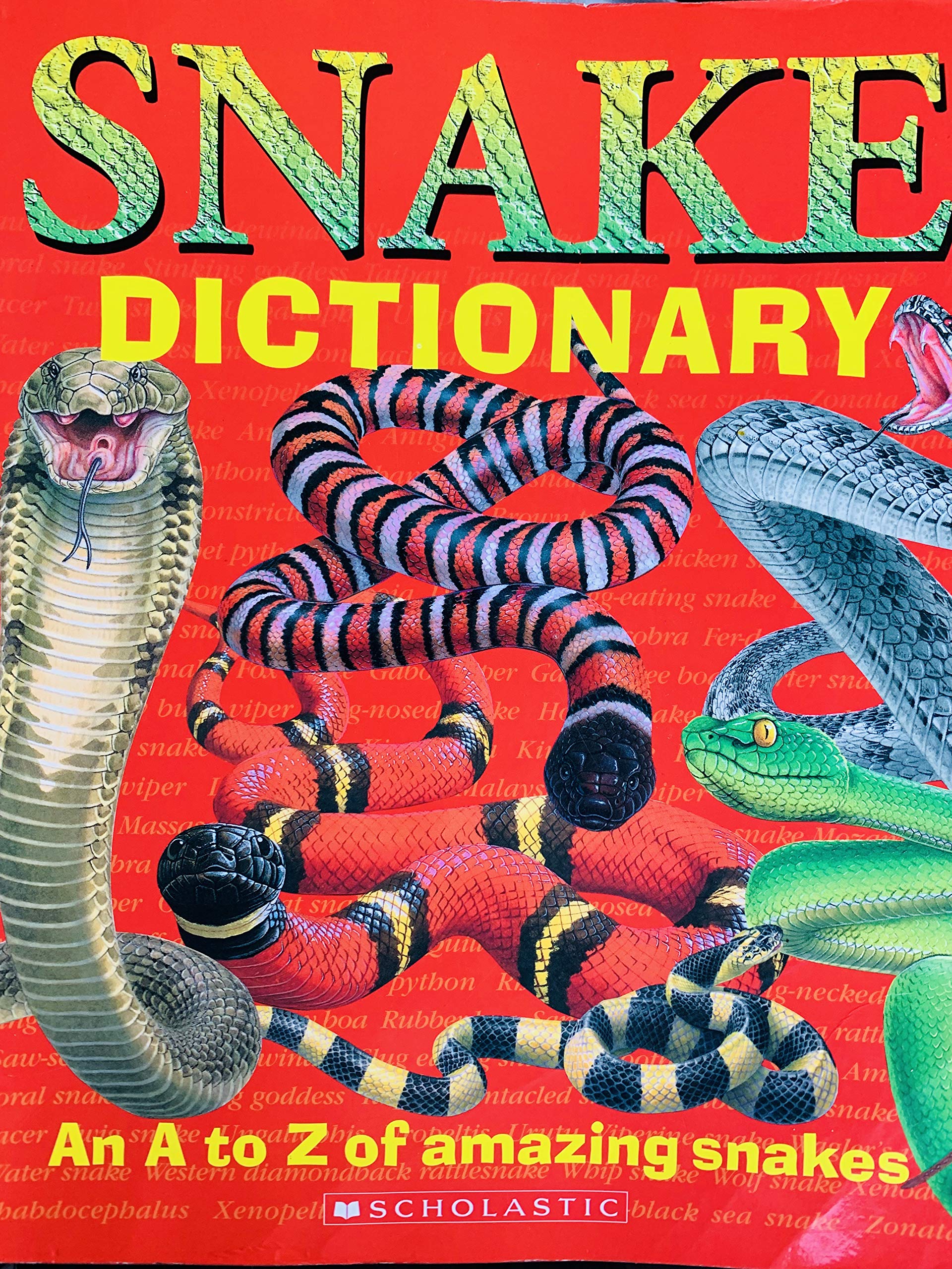 Snake Dictionary (An A to Z of amazing snakes)