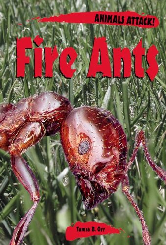 Animals ATTACK! - Fire Ants