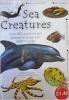 Sea Creatures
