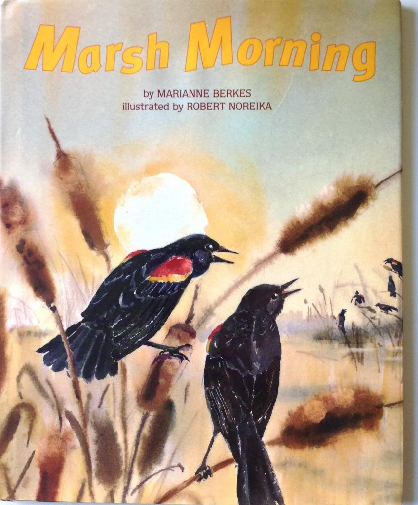Marsh Morning (Single Titles)