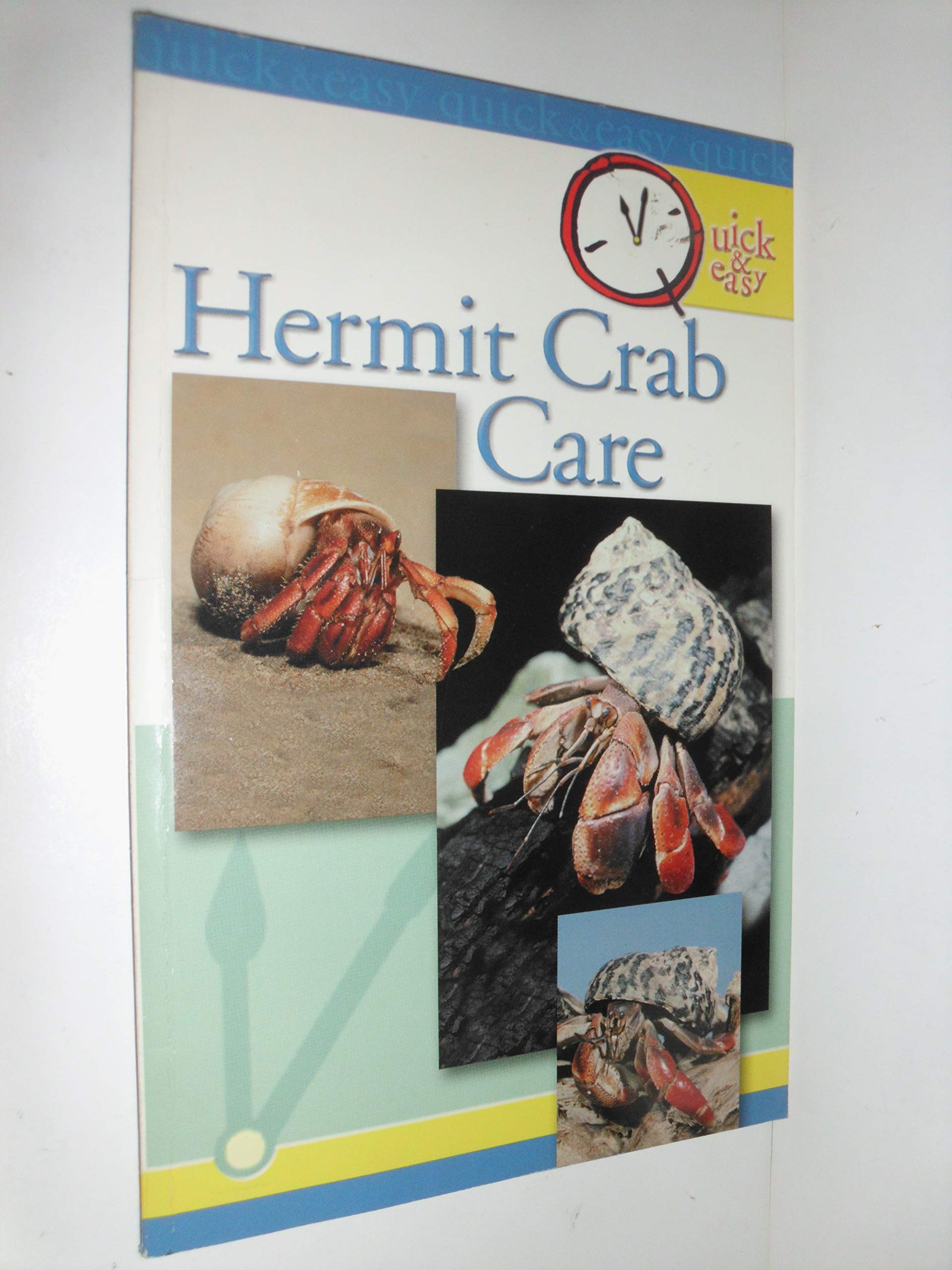 Hermit Crab Care (Quick & Easy)