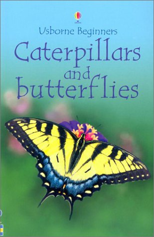 Caterpillars and Butterflies (Usborne Beginners)