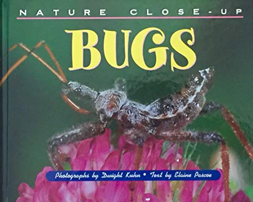 Bugs (Nature Close-Up)