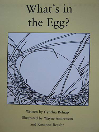 What's in the Egg?