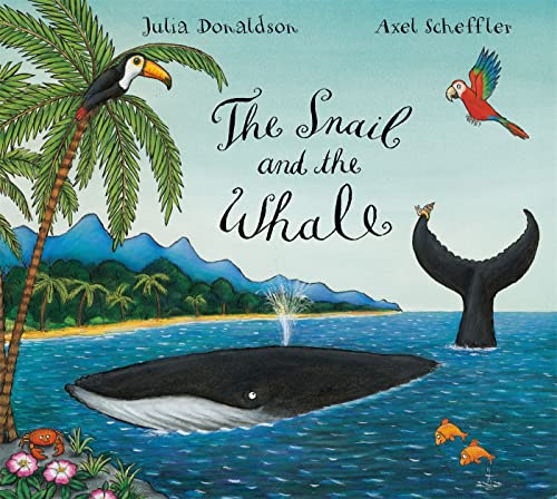 The of Snail and the the Whale [paperback] (snails and whales)