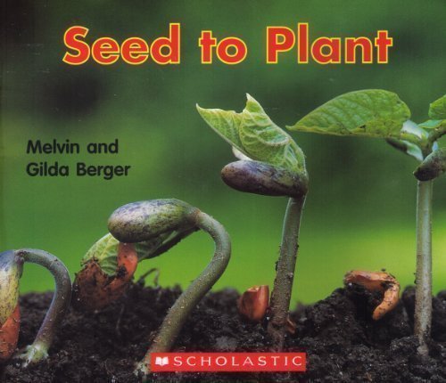 Seed to Plant