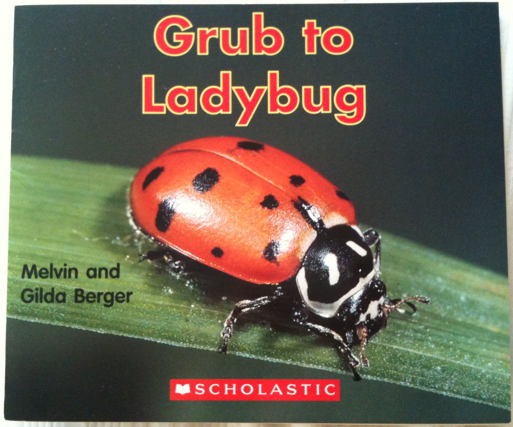 Grub to Ladybug