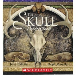 The Skull Alphabet Book