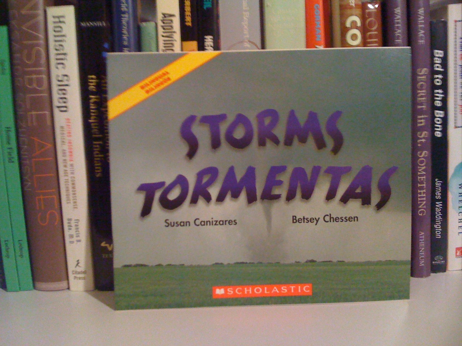 Storms - Tormentas (Science Emergent Readers)
