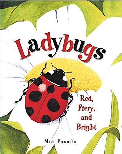 Ladybugs: Red, Fiery, and Bright