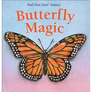 Butterfly Magic