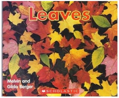 Leaves (Time to Discover Scholastic Readers)