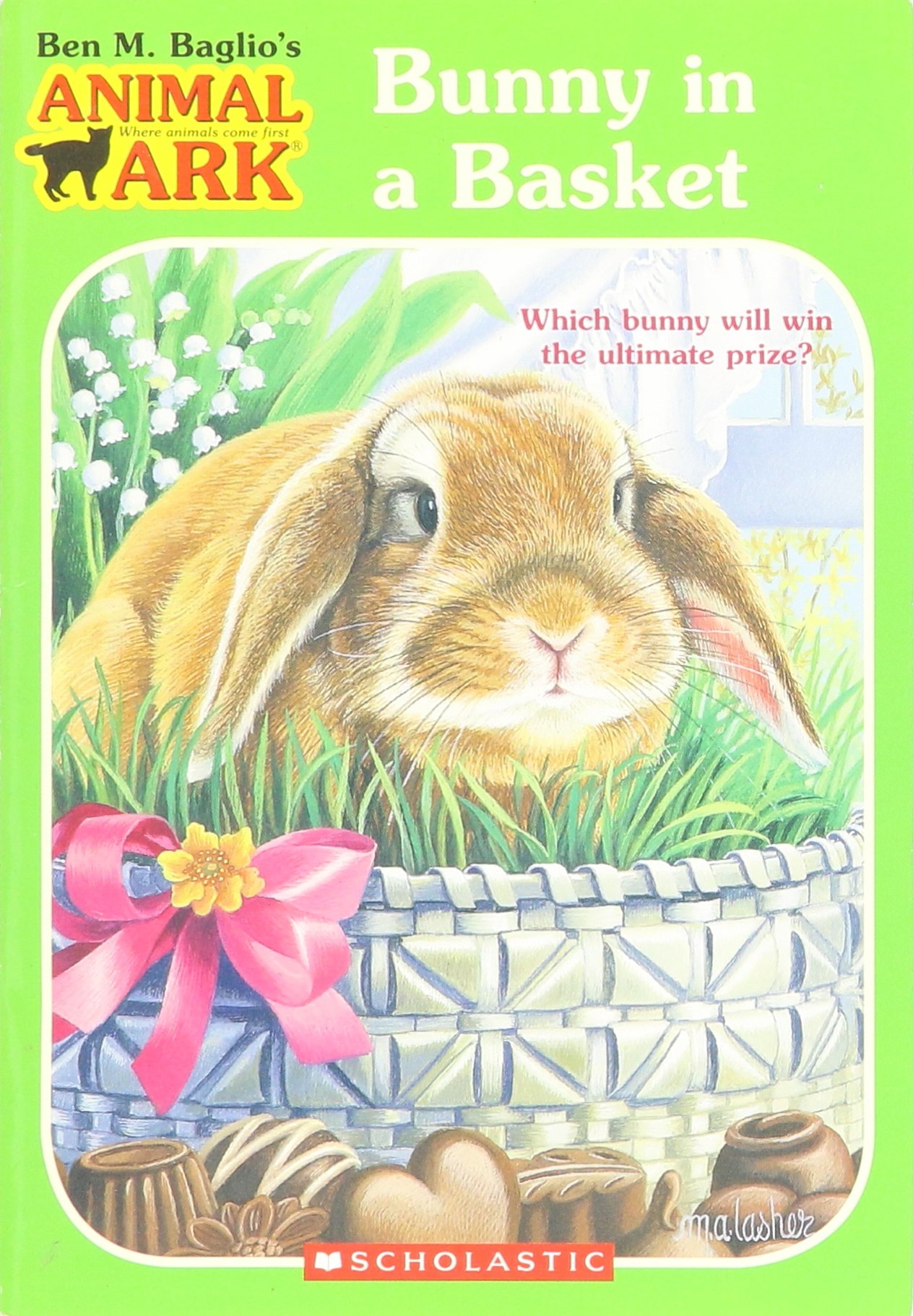Bunny in a Basket (Animal Ark #4)