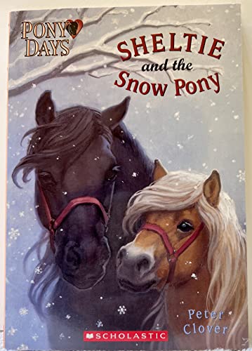 Sheltie and the Snow Pony