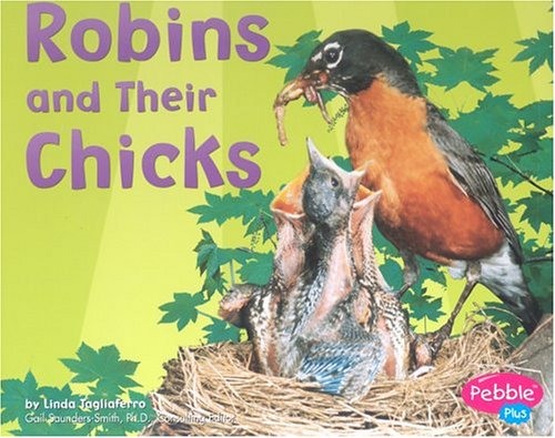 Robins and Their Chicks (Animal Offspring)