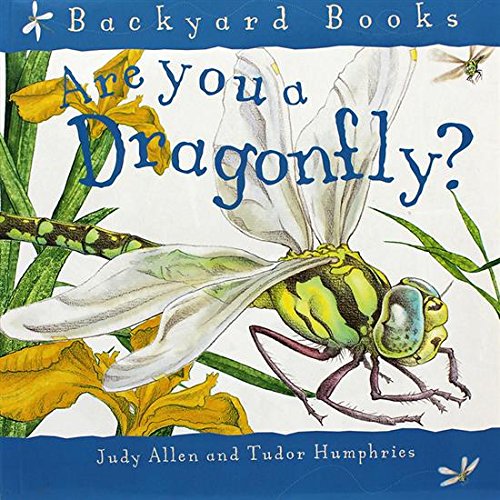 Are You A Dragonfly Paperback