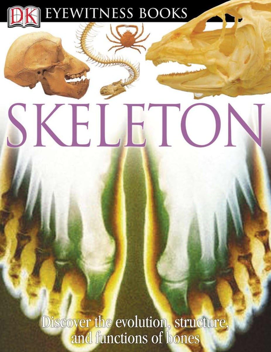 DK Eyewitness Books: Skeleton