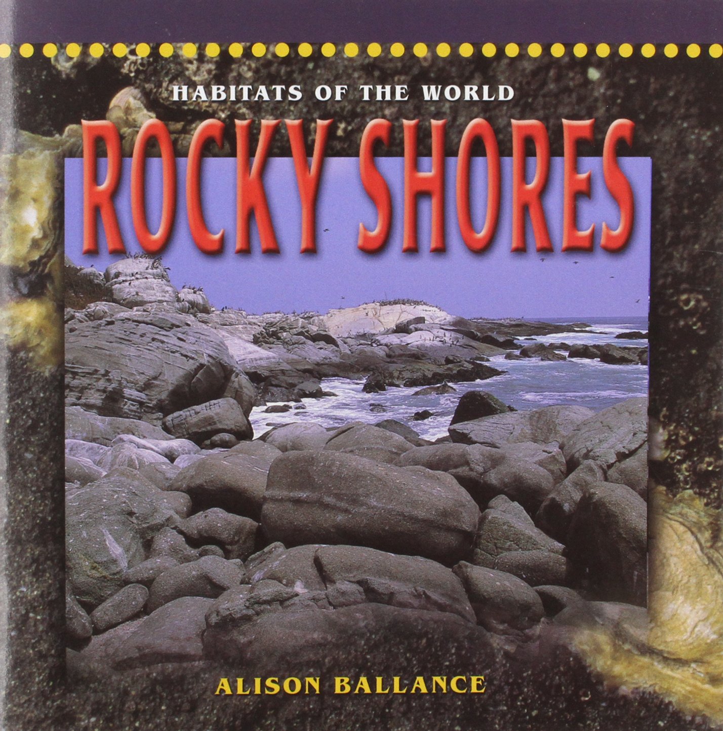 ROCKY SHORES
