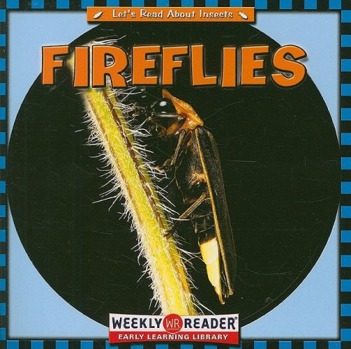 Fireflies: Let's Read About Insects