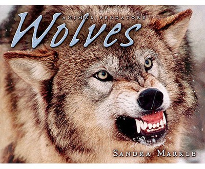 Wolves (Animal Predators)