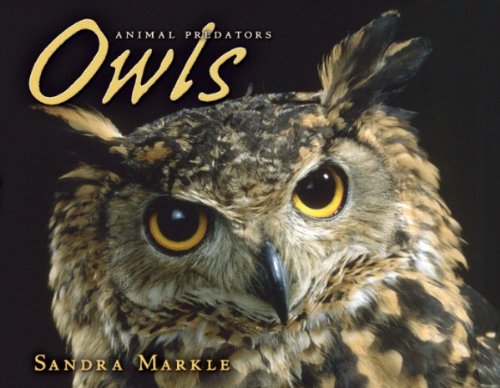 Owls