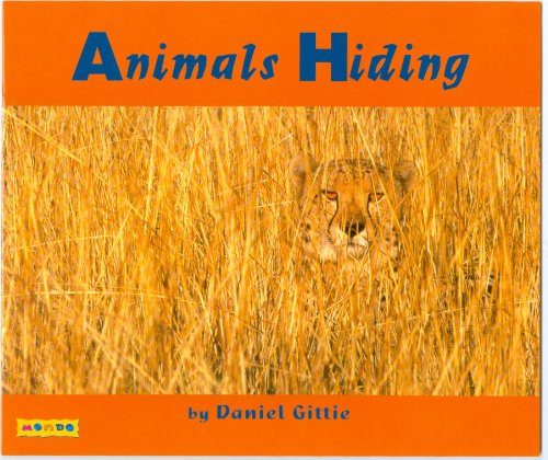 Animals Hiding