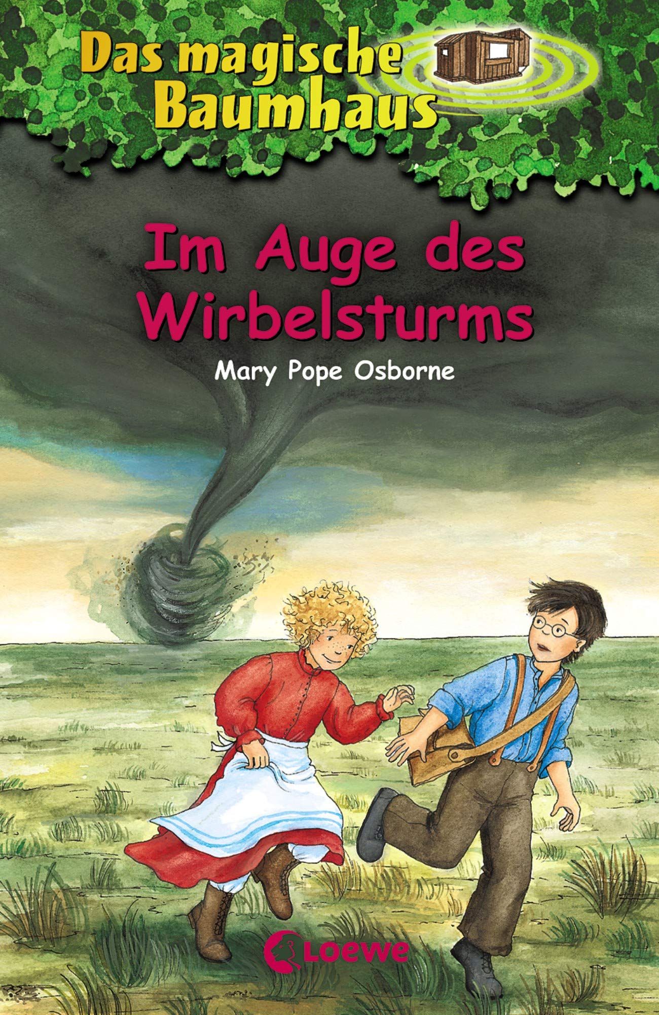 Im Auge DES Wirbelsturms (German Edition)