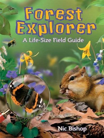 Forest Explorer: A Life-sized Field Guide