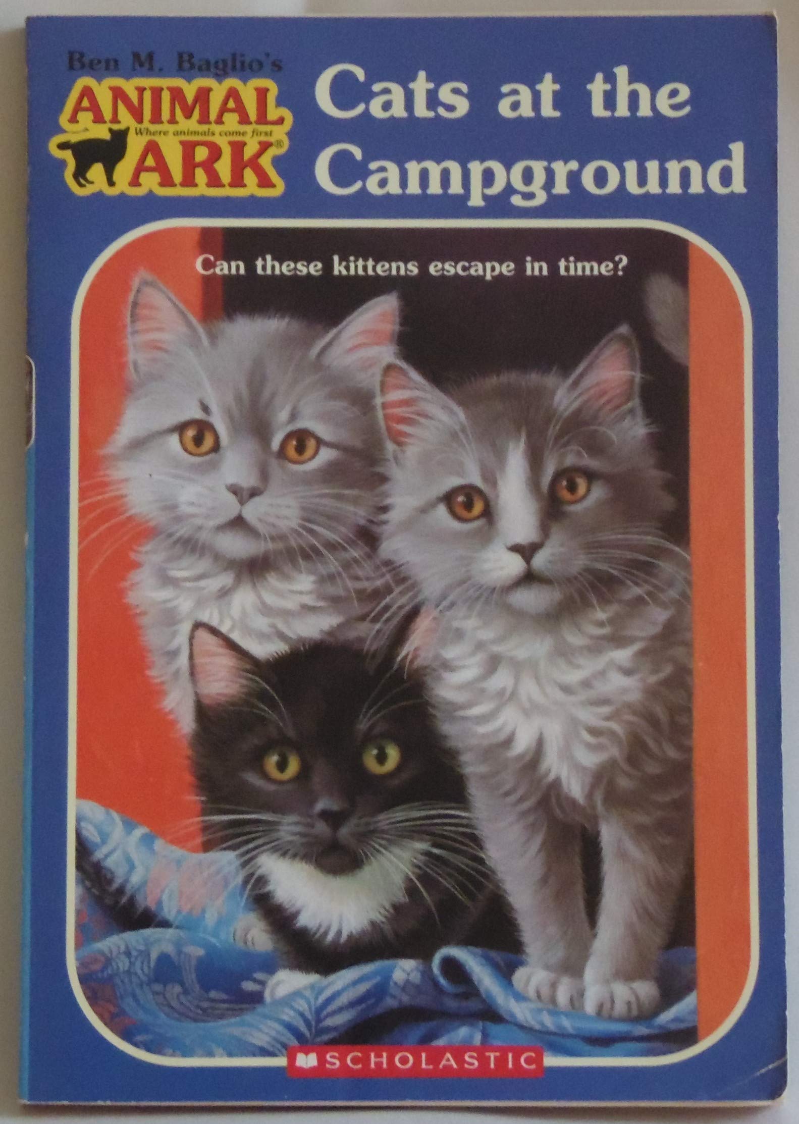 Cats at the Campground (Animal Ark Series #32)