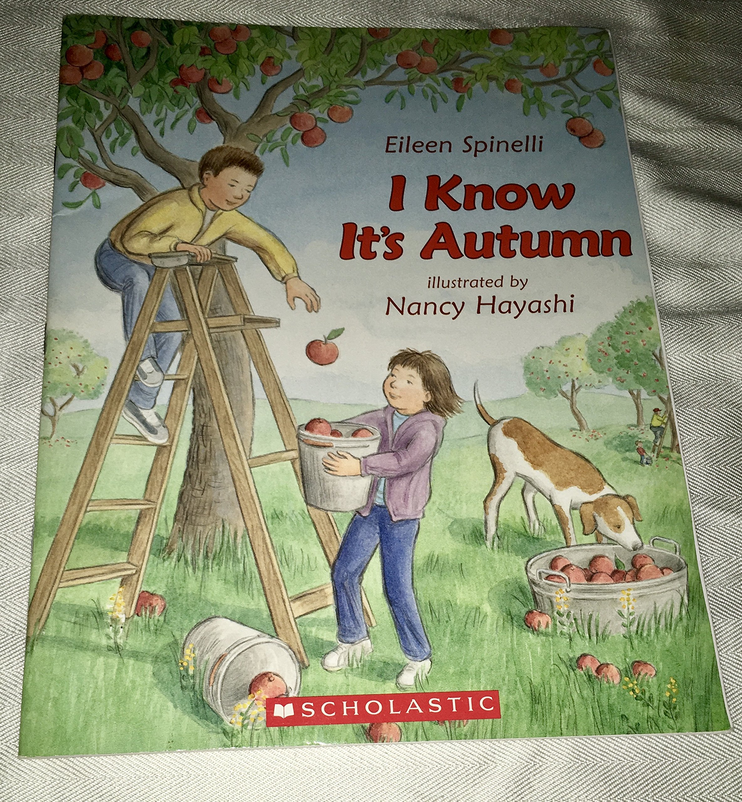 I Know It's Autumn
